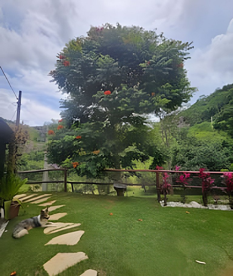 La Casa Amarilla - Villa Rural