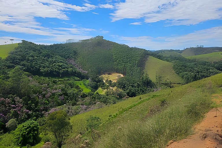 A Casa Amarela - Rural Villa - Serra do Mar