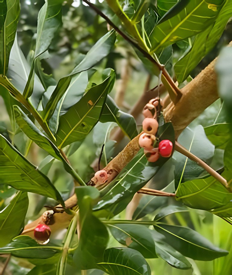 The Yellow House - Country Villa