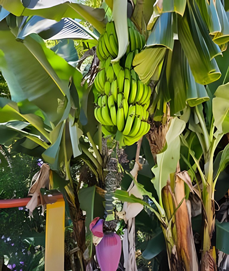 The Yellow House - Country Villa