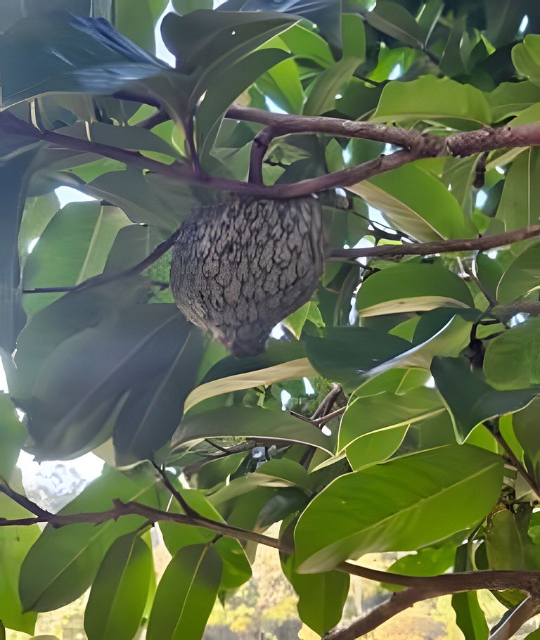 The Yellow House - Country Villa