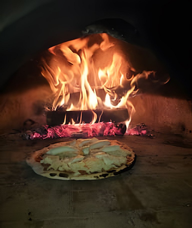 Chalé Alce Negro - Rural Cottage - Serra do Mar