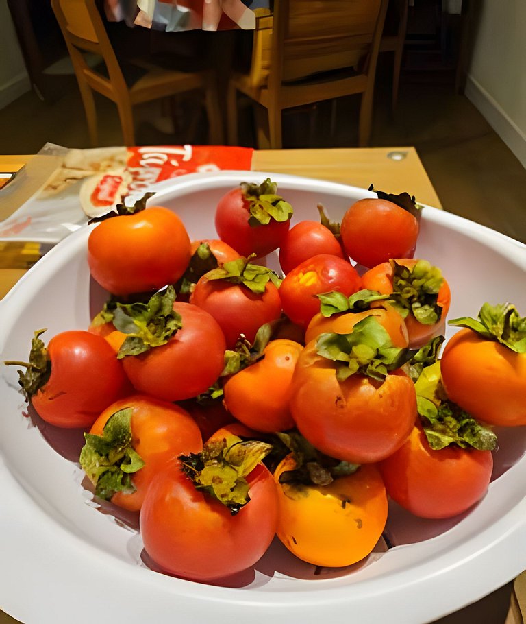 Chalé Alce Negro - Cabaña Rural - Serra do Mar